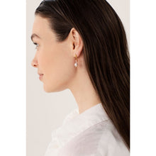 Load image into Gallery viewer, Candy Cone Earrings